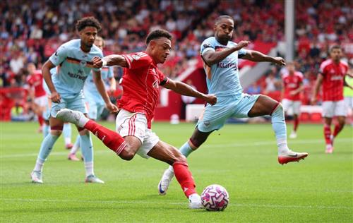 诺丁汉森林 vs 布伦特福德