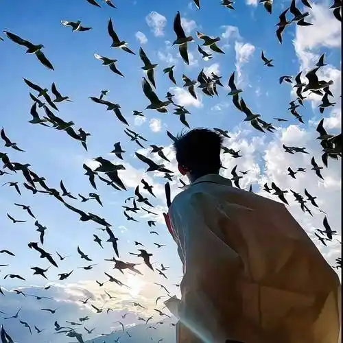 6686体育官网签约作者苏璃陌