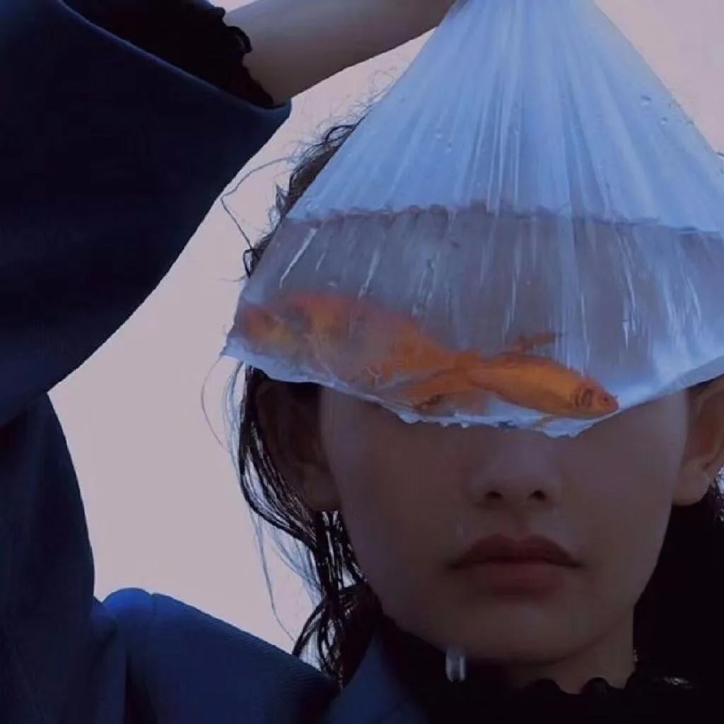 6686体育官网特邀作者Charlotte