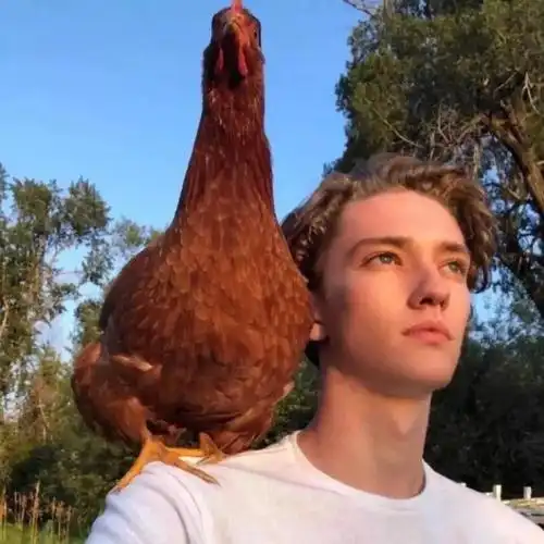 6686体育官网海外作者Yuri