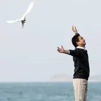 6686体育官网合作伙伴Kai