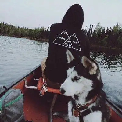 6686体育官网初级作者Claire